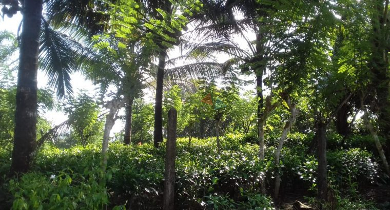 Land For Sale In Ingiriya
