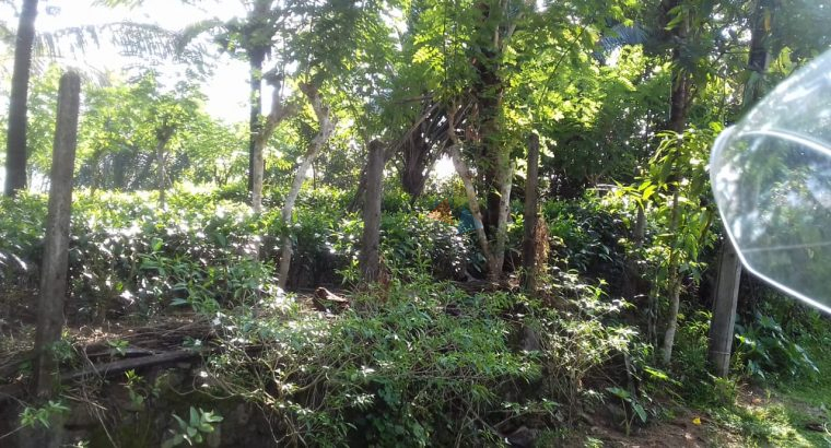 Land For Sale In Ingiriya