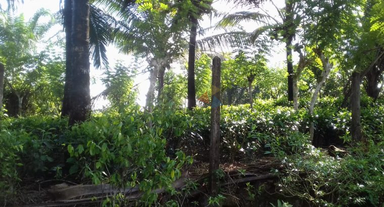 Land For Sale In Ingiriya