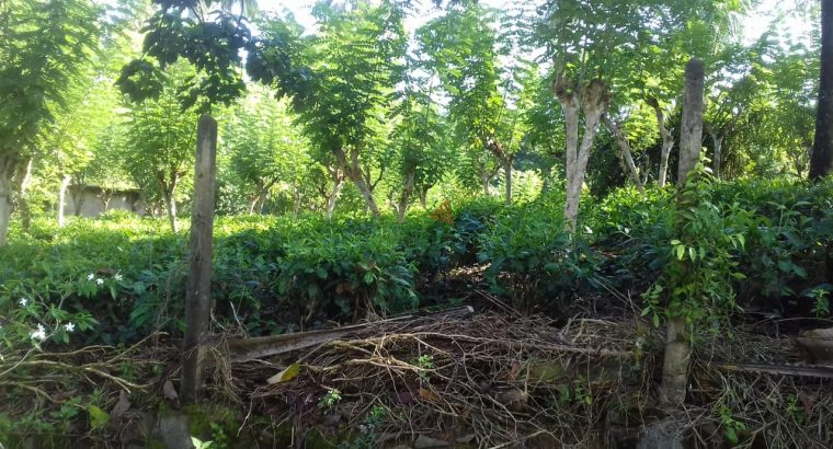 Land For Sale In Ingiriya
