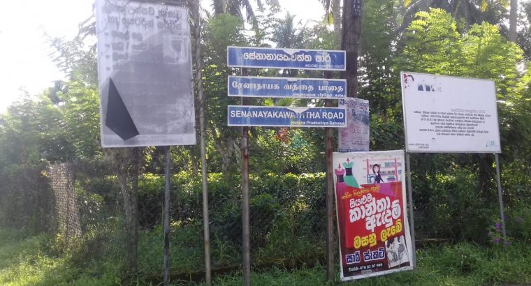 Land For Sale In Ingiriya