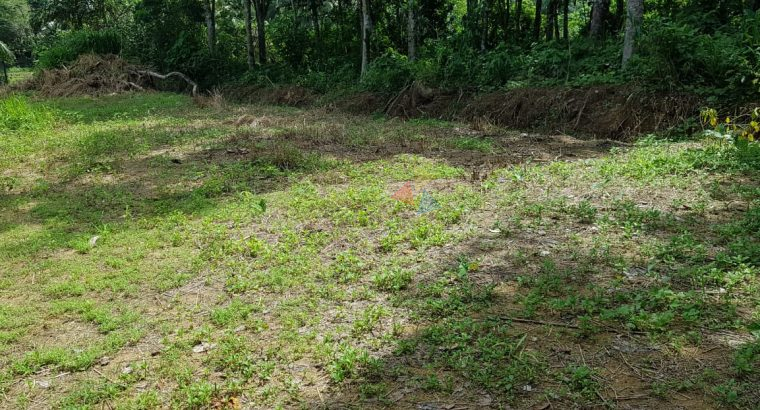 Land for Sale in Horana