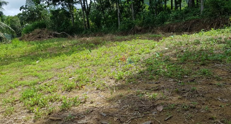 Land for Sale in Horana