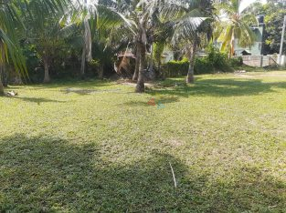 Commercial Land For Sale In Bopitiya