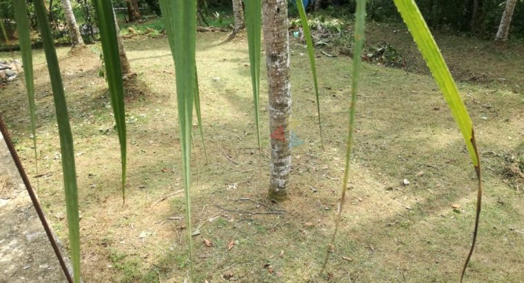 Land For sale In Homagama Pitipana