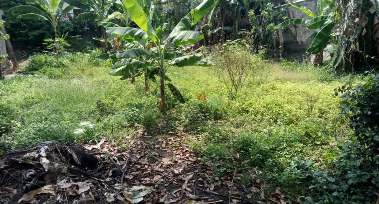 Valuable Land For Sale In Nedimala
