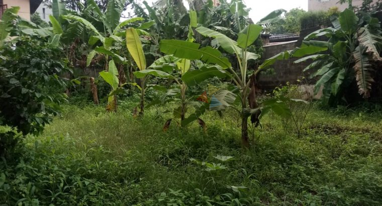 Valuable Land For Sale In Nedimala