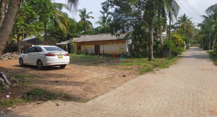 Valuable Land For Sale In Boralesgamuwa