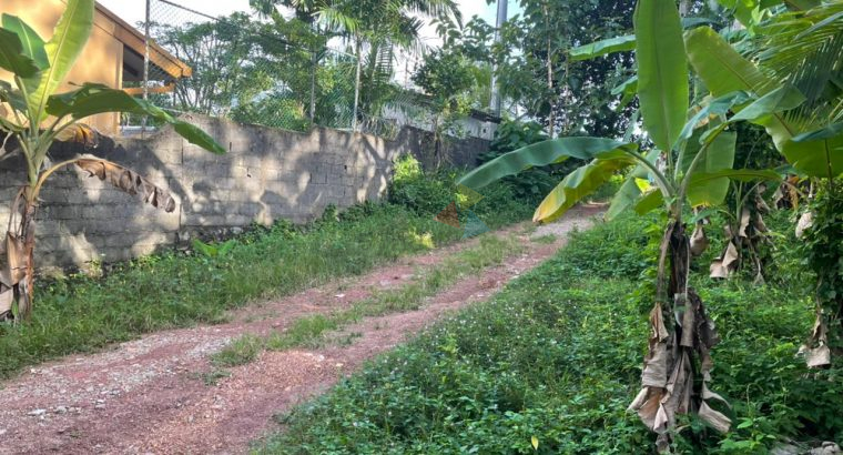 Land For Sale In Thalawathugoda