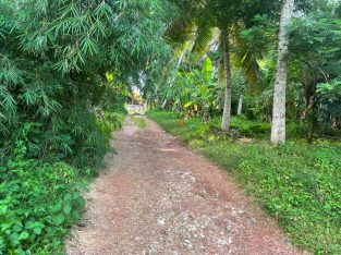 Land For Sale In Thalawathugoda