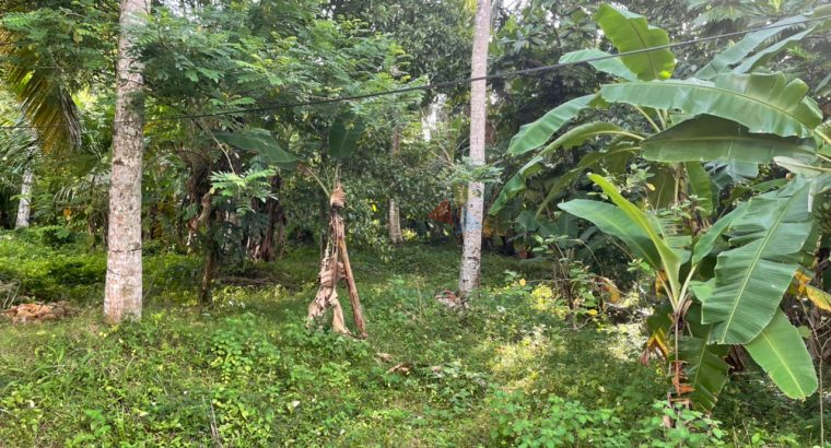 Land For Sale In Thalawathugoda