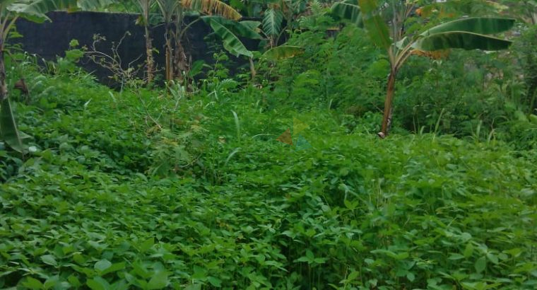 Land For Sale In Maharagama