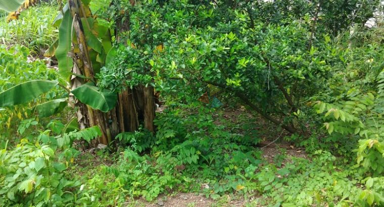 Land For Sale In Maharagama