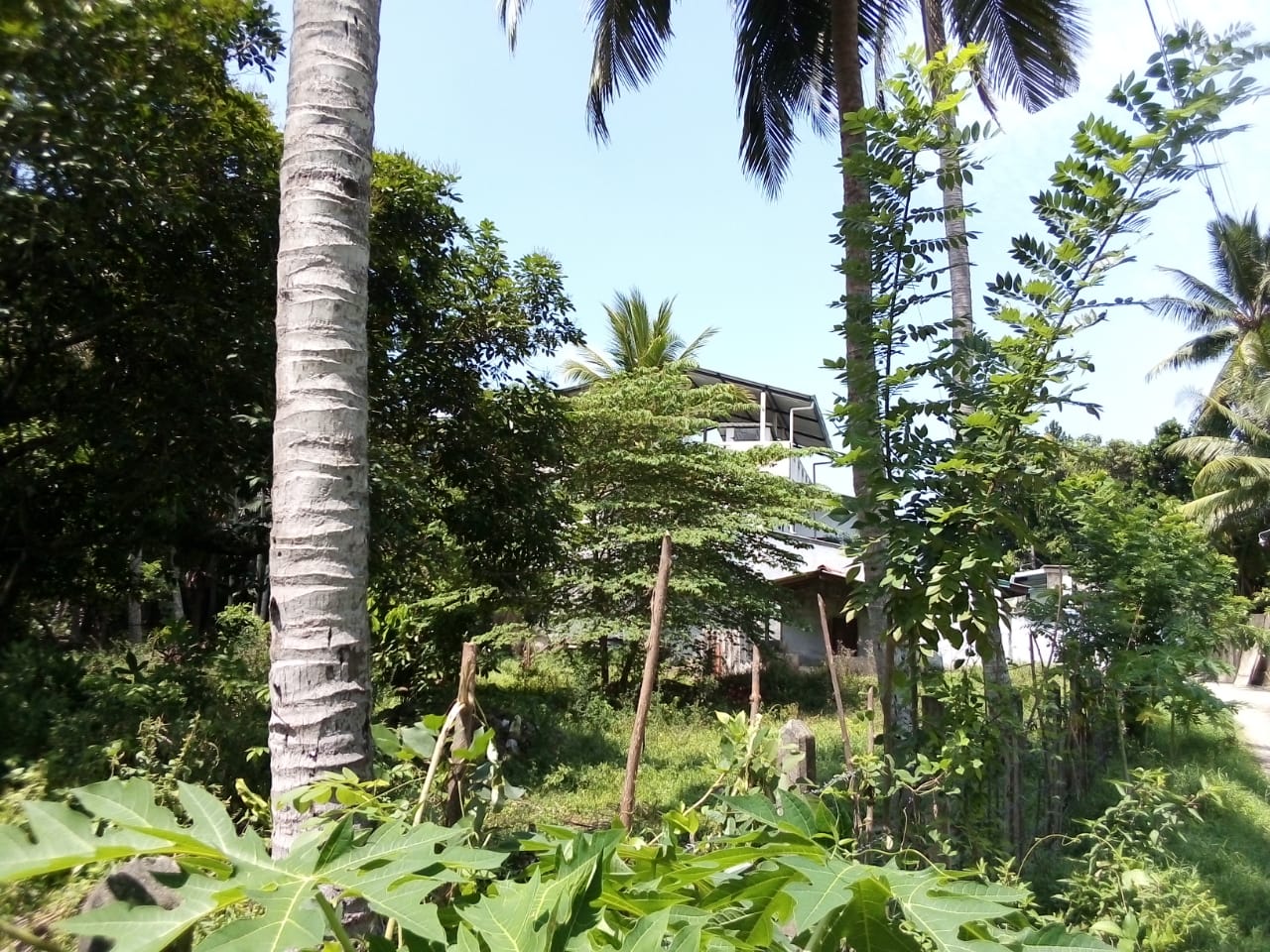 Land For Sale In Maharagama