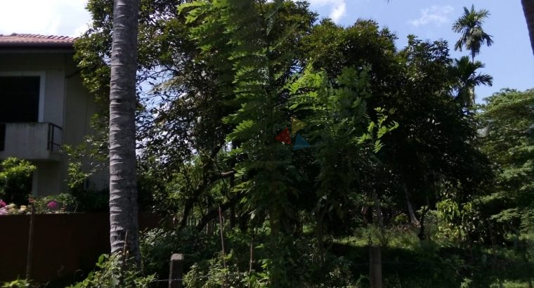 Land For Sale In Maharagama
