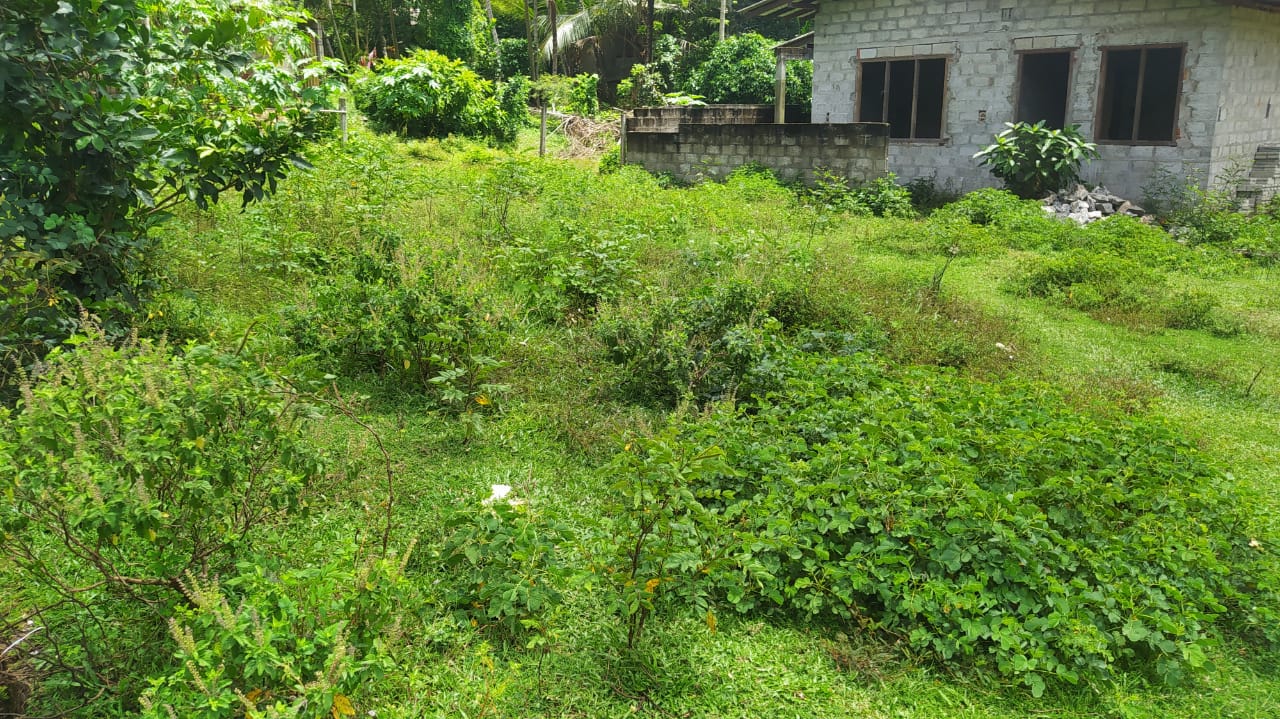 Land For Sale In Kottawa