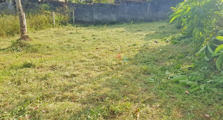 Valuable Land For Sale In Piliyandala