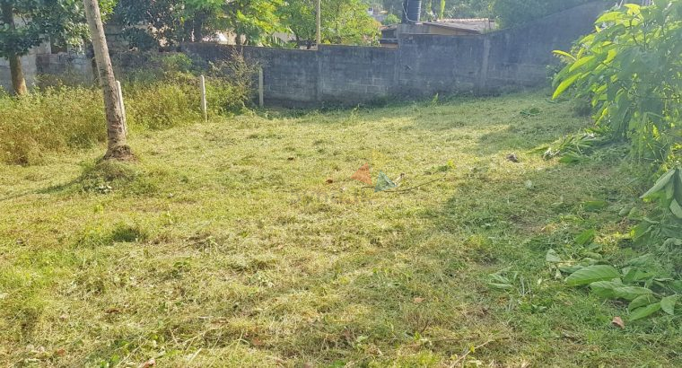 Valuable Land For Sale In Piliyandala