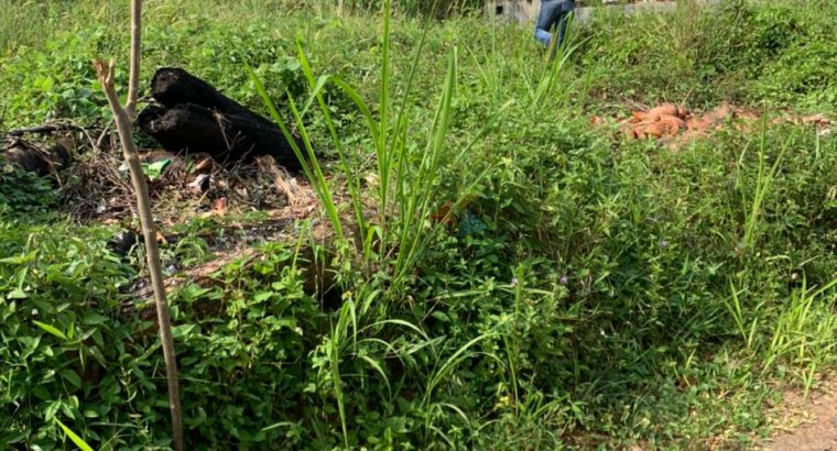 Land For Sale In Kiriwattuduwa