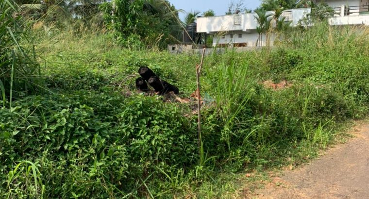 Land For Sale In Kiriwattuduwa