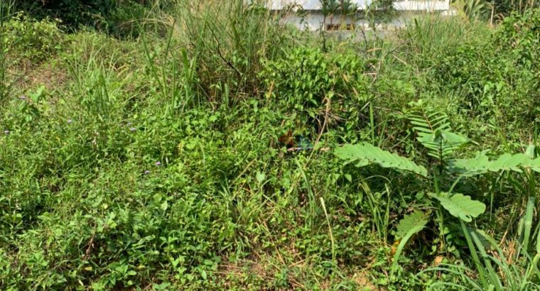 Land For Sale In Kiriwattuduwa