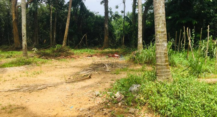 Land For Sale In Kaduwela