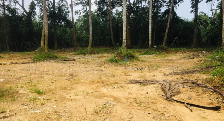 Land For Sale In Kaduwela