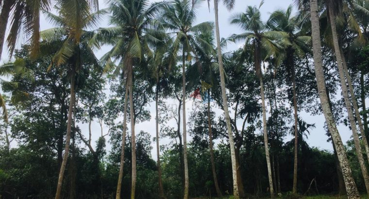 Land For Sale In Kaduwela
