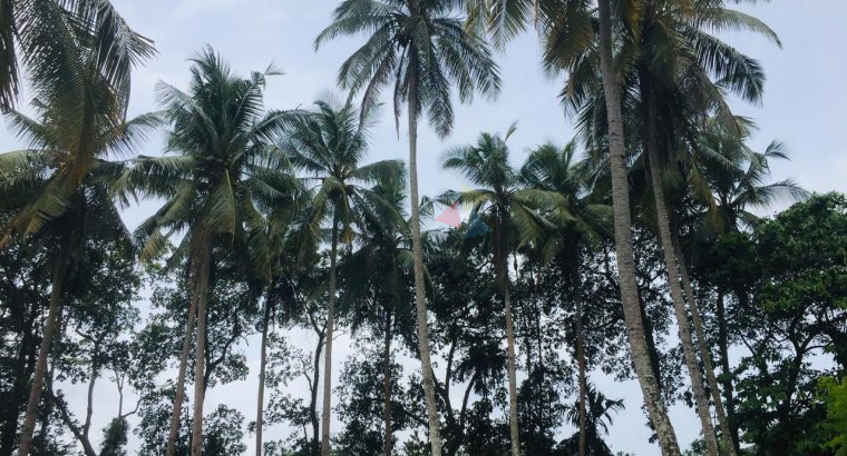 Land For Sale In Kaduwela