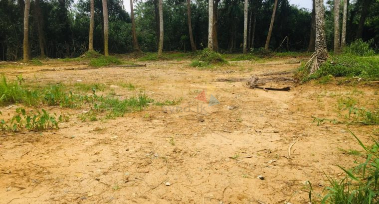 Land For Sale In Kaduwela