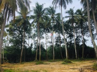 Land For Sale In Kaduwela