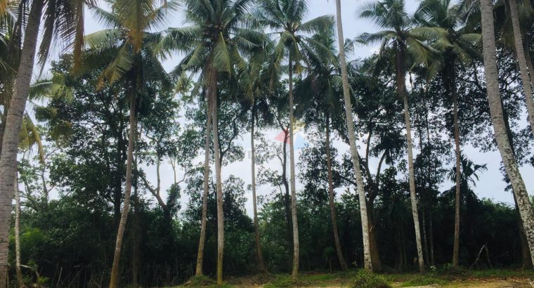 Land For Sale In Kaduwela