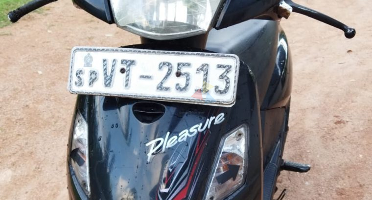 Hero Pleasure 2010