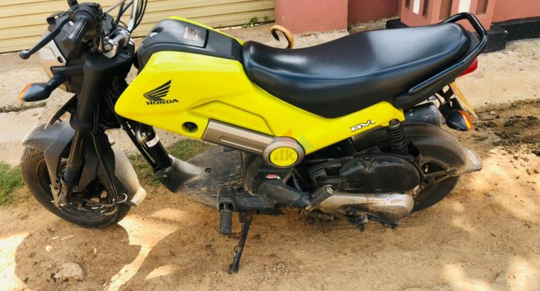 Honda Navi 2019 2017