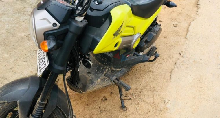 Honda Navi 2019 2017