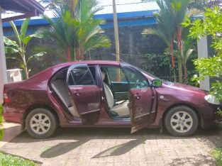 Toyota Corolla 2003