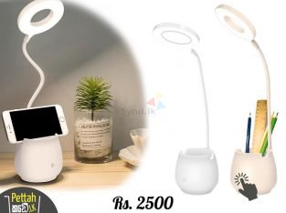 Rechargeable 2 In 1 Portable Lamp
