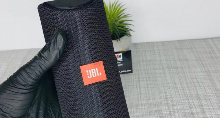JBL TG 113 BT Speaker