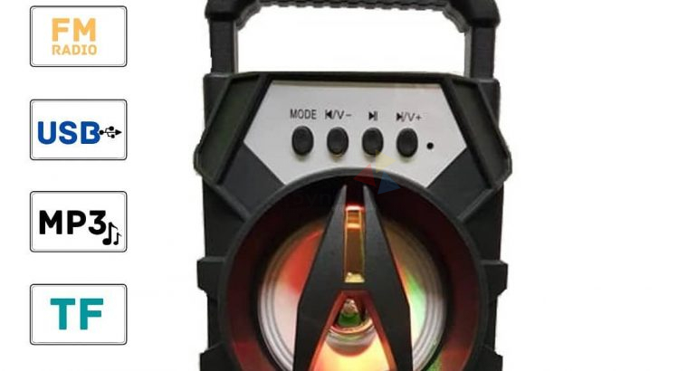 Wireless Portable Speaker