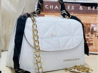 Charles and Keith Hand Bag