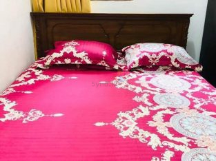 New Egyptian Cotton