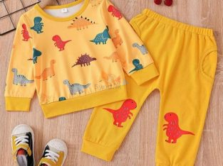 Dinosaur Print Pullover and Sweatpants