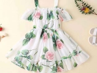 Baby Girl Floral Print Trim Dress