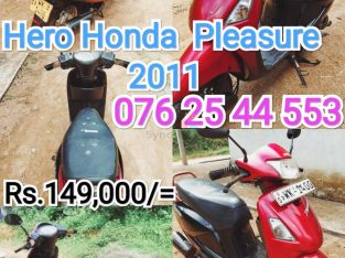 Hero Pleasure 2011