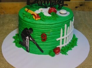 Cricket themed cake