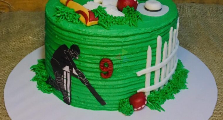 Cricket themed cake