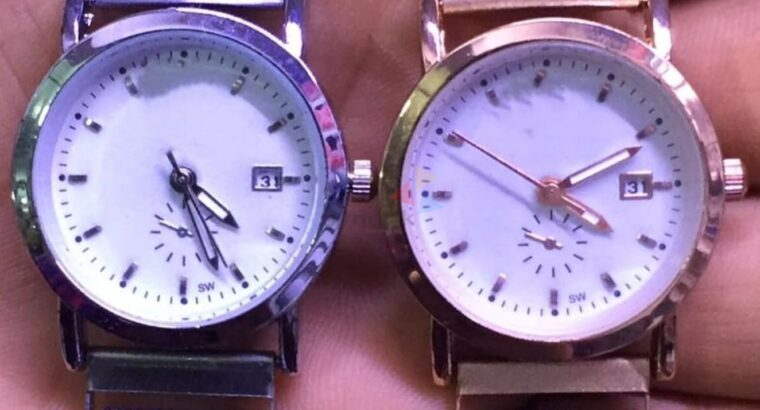 Women’s Fancy Magnetic Watch