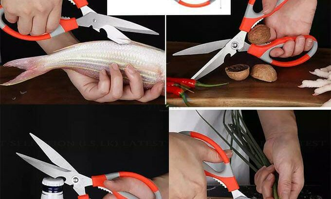 Kitchen Scissors