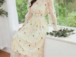Embroidery mesh dress