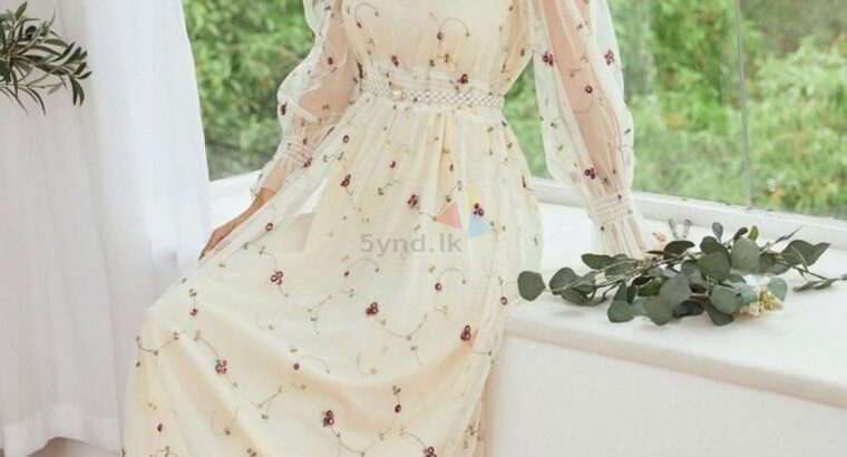 Embroidery mesh dress